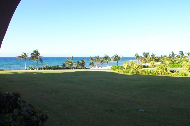 A view out our hotel window