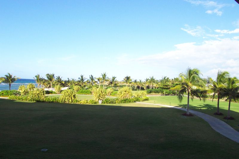 A view out our hotel window