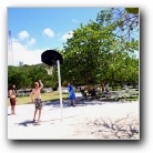 [Click to enlarge image]