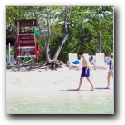 [Click to enlarge image]