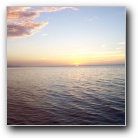 [Click to enlarge image]