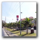 [Click to enlarge image]