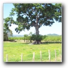 [Click to enlarge image]