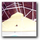 [Click to enlarge image]