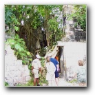 [Click to enlarge image]