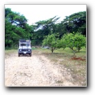 [Click to enlarge image]