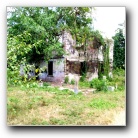 [Click to enlarge image]