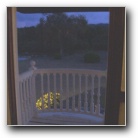 [Click to enlarge image]