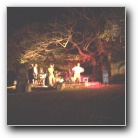 [Click to enlarge image]