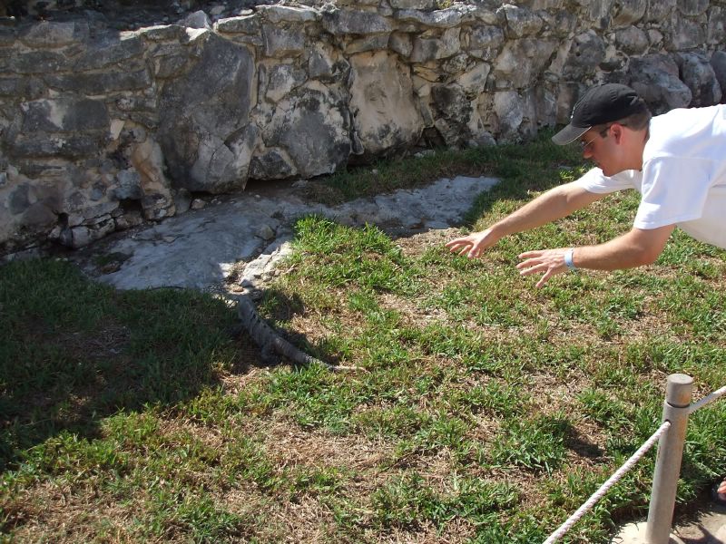 Brian chasing a lizard