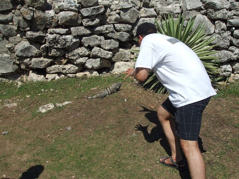 Brian chasing a damn lizard again