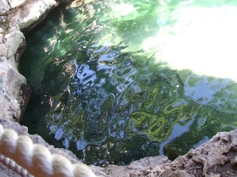 Pond next to the Xel-Ha Bar