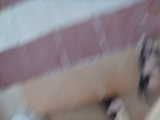 DSC00476