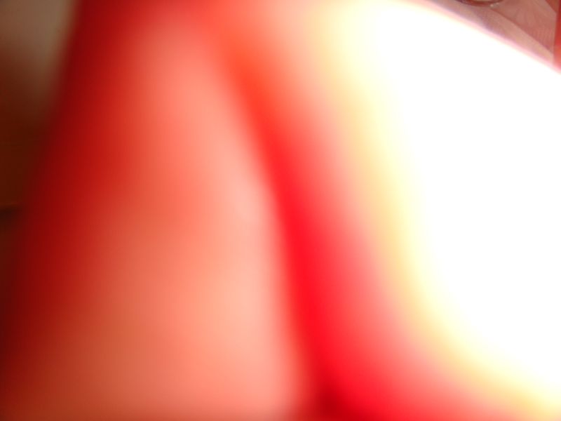 DSC00928